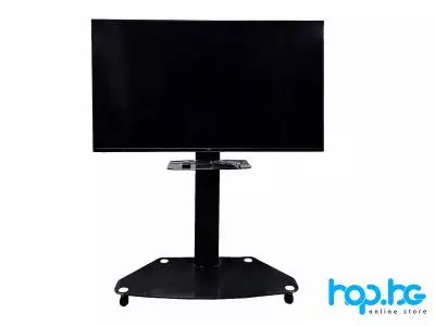 Informational Display Dell C5519Q + Monitor Stand HP 55S