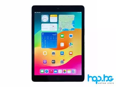 Tablet Apple iPad 10.2 9th Gen A2604 (2021) 256GB Wi-Fi+LTE Gray