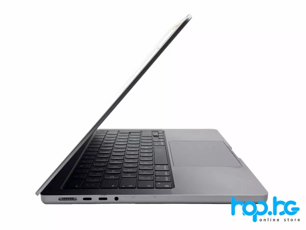Laptop Apple MacBook Pro A2442 (2021) Space Gray