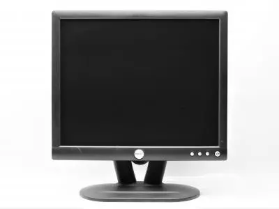 Monitor Dell E172FPt