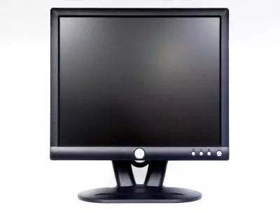 Dell E173