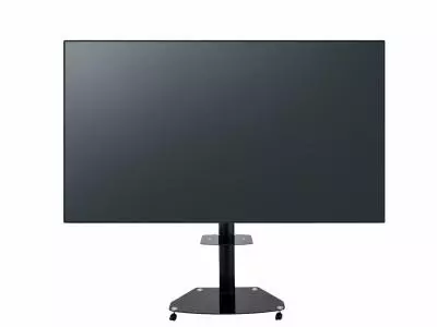 Interactive Display Panasonic TH-65LFE8E, 65 inches, VA Full HD 1920x1080 + HP Stand 55S
